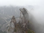 Blick zu den Edelspitzen