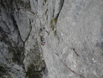 11. Sl, schöne kompakte Platten