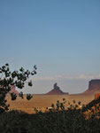 Eine der Mitten Buttes im Abendlicht