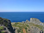 Twillingate - Aussicht vom Lighthouse - so blau...