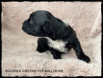 2.Woche