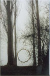 ring of reed, lake of Constance 1997