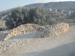 cava secca (dry valley), Sicily 2001 made with friends