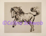Cheval, gravure, 30cm x 36cm sur papier 45cm x 57cm