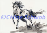 Horse, ink, 2019