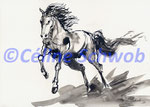 Cheval, encre de Chine, 2019