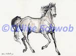 Cheval, encre de Chine, 2019