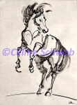 Horse, ink, 2018