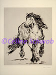 Cheval, gravure, 30cm x 36cm sur papier 45cm x 57cm