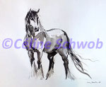 Horse, ink, 2015