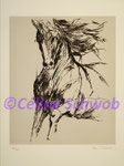 Cheval, gravure, 30cm x 36cm sur papier 45cm x 57cm