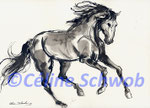 Cheval, encre de Chine, 2019