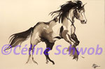 Cheval, encre de Chine, 2016