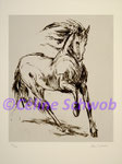 Cheval, gravure, 30cm x 36cm sur papier 45cm x 57cm