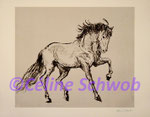 Horse, etching 12"x14" on paper 18"x22"