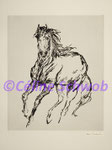 Cheval, gravure, 30cm x 36cm sur papier 45cm x 57cm