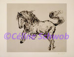 Horse, etching 12"x14" on paper 18"x22"