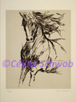 Cheval, gravure, 30cm x 36cm sur papier 45cm x 57cm