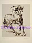 Cheval, gravure, 30cm x 36cm sur papier 45cm x 57cm
