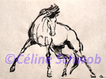 Cheval, encre de Chine, 2018