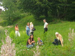 In Marias Kräuter und Gemüsegarten