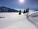 Hiver 2021 un des nombreux paysages admirés lors des sorties raquette. Le début de l'hiver a été propice car bien enneigé à basse altitude