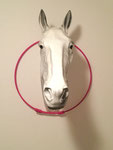Reitring