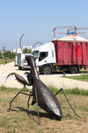 Monumental Insect Sculpture °2019 @Vanorbeek