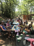 Pichauris  17/06