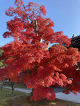 智積院
