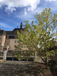 Blick zur Hofeinfahrt und zur Grundschule/view to the gate and to the primary school