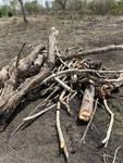 Das Holz wird genau nach Dicke sortiert