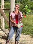 Gabriela hat im Gartencenter einen indischen Mandelbaum geschenkt bekommen