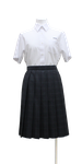 龍昇経理情報専門学校女子夏制服