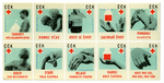 matchbox labels_health: República Checa.