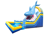 Toboggan Requin Aqua