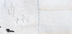 Detail Detail Achilles