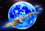 エアブラシアート　イルカ