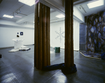 I've Placed a Box in a Broad Expanse of the Forest,  dyed cloth, wood, oil and pencil on canvas, plaster, thread, paraffin, lead, log, glass, mirror, photograph, mixed media, Size: 7800x4800x2800(h)mm, 1987