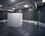 The Water Goes Back Its Way, plaster, thread, paraffin, lead, glass, iron, mirror, paraffin, pastel, pencil, mixed media, Size: 7800x4800x2800(h)mm, 1988