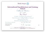 IDBTS Zertifikat Hundetrainer