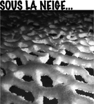 Sculptures sous la neige