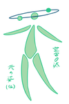 空宙θ汰_原型_仮デザイン3