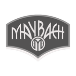 Maybach LP- E Gitarren