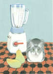 猫とミキサー　グリ