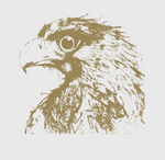 https://www.eventhus.ch/