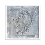 'Exotic silver life' Size: 100x100x2