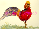 Faisan Doré, aquarelle sur papier, 28cmx38cm, Golden Pheasant, watercolor on paper, 11"x15",2023