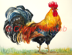 Coq, aquarelle sur papier, 56cmx76cm, Rooster, watercolor on paper, 22"x30", 2024