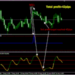 RSX Timing Trading system